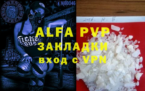 стаф Алексин