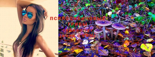 ECSTASY Волосово