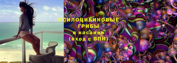 стаф Алексин