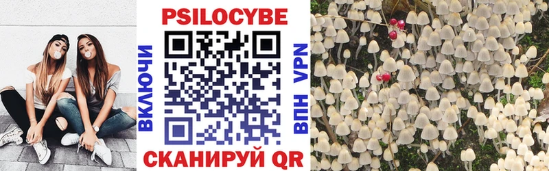 купить закладку Сортавала Галлюциногенные грибы MAGIC MUSHROOMS